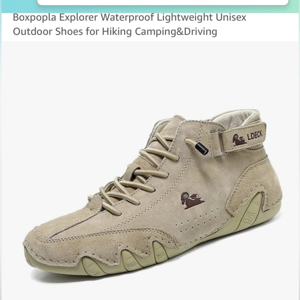 Hiking shoes